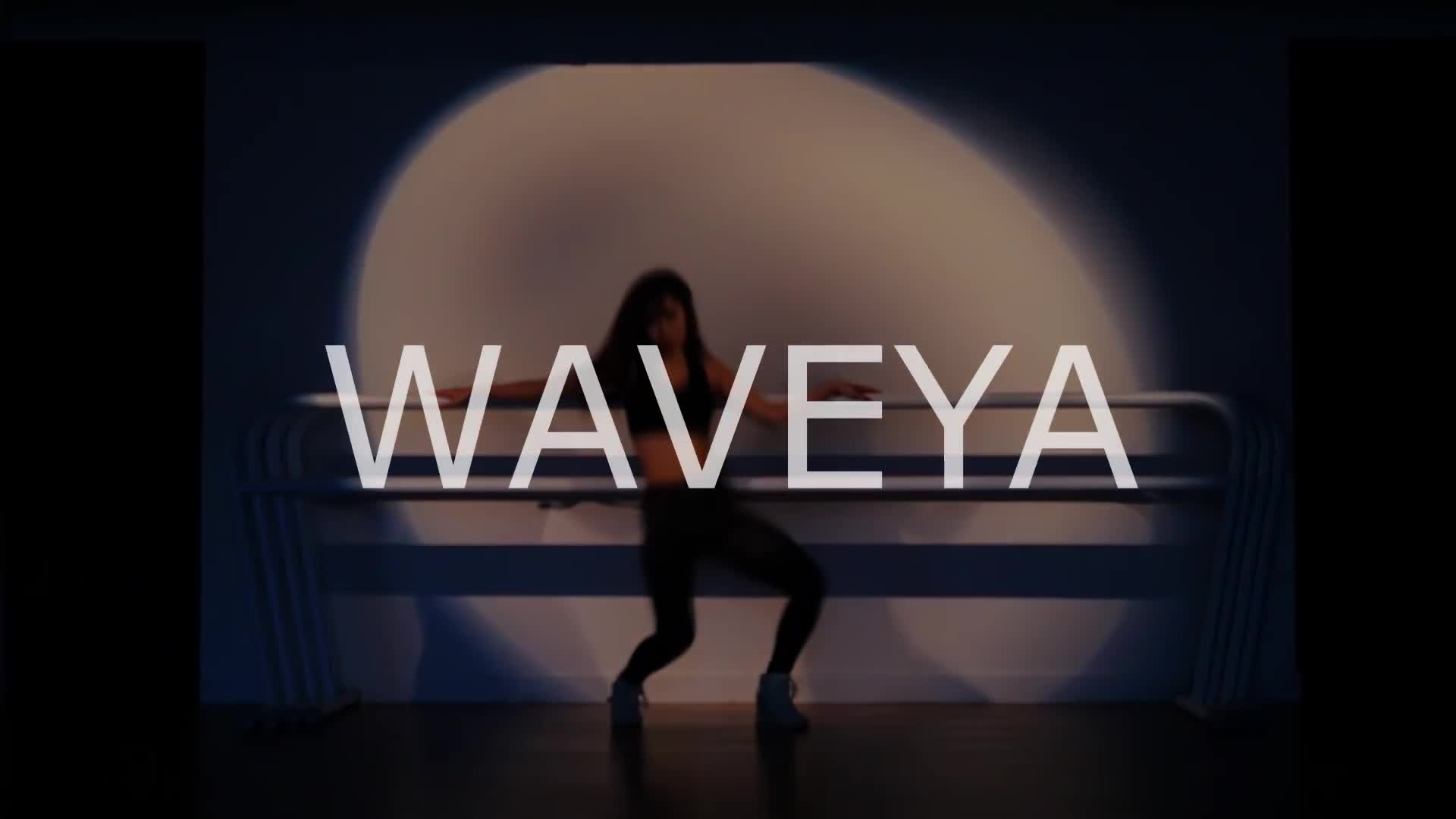 Tinashe – No Drama Teaser Waveya