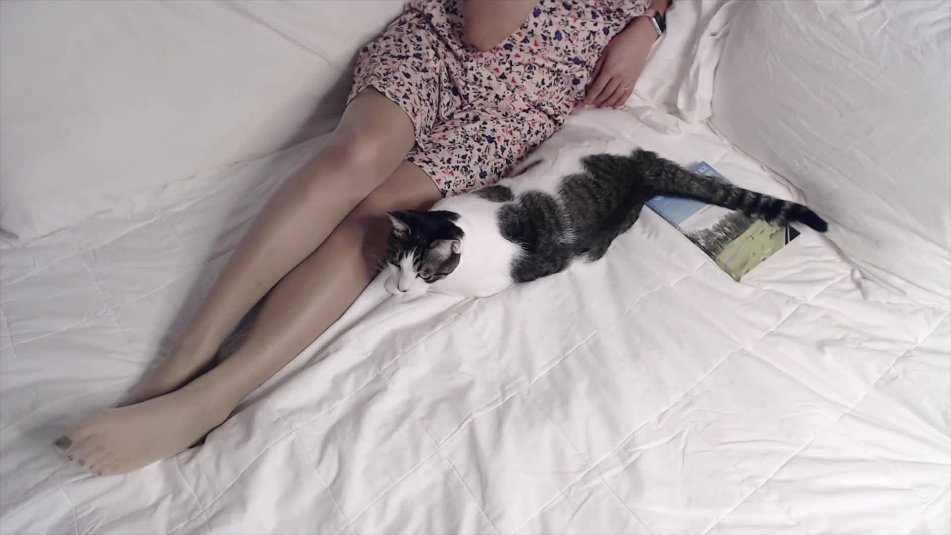 Vlog – 고양이와 함께 책 읽기